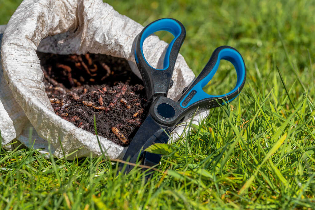 Двойна ножица за кълцане на червеи Preston Worm Scissors - Image 5