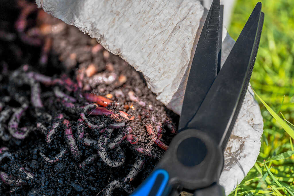 Двойна ножица за кълцане на червеи Preston Worm Scissors - Image 6