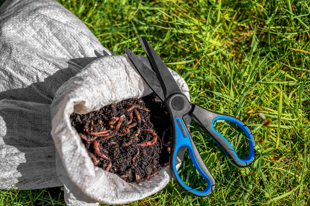 Двойна ножица за кълцане на червеи Preston Worm Scissors - Image 7