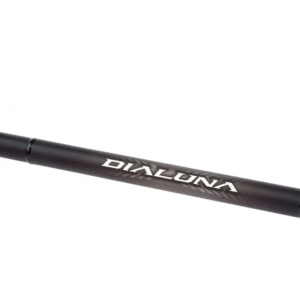 Спининг Shimano 23 Dialuna S100MH 3.05м 10-50гр Max Jig 60гр