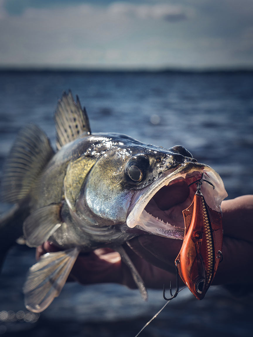 Воблер Rapala V - Blade 5см/10гр - потъващ - Image 3