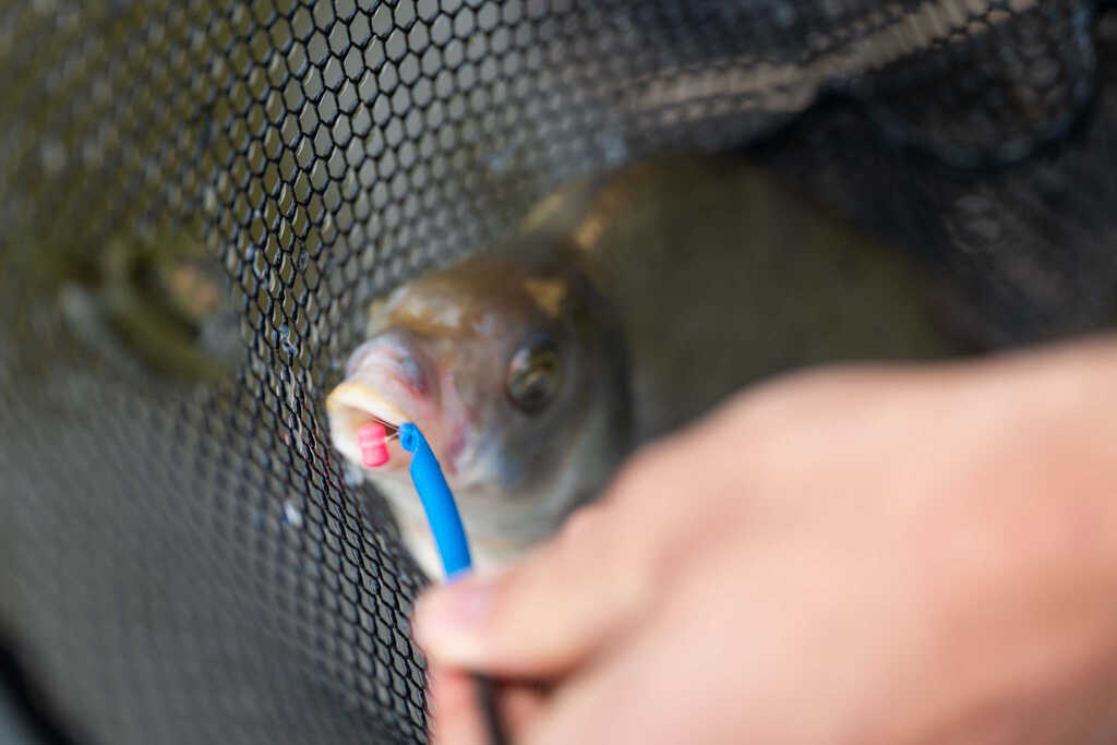 Кукоизваждач с игла Preston Disgorger Baiting Needle - Image 3